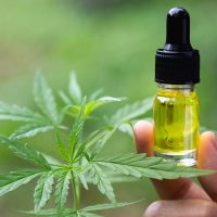 Can Cannabidiol products cure Cancer?