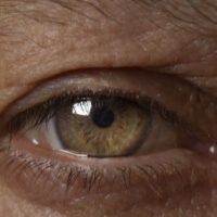 Miller Fisher syndrome, internal and external ophthalmoplegia after influenza vaccination