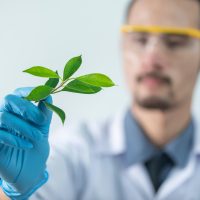 Benefits of employing online pharmacies over traditional ones